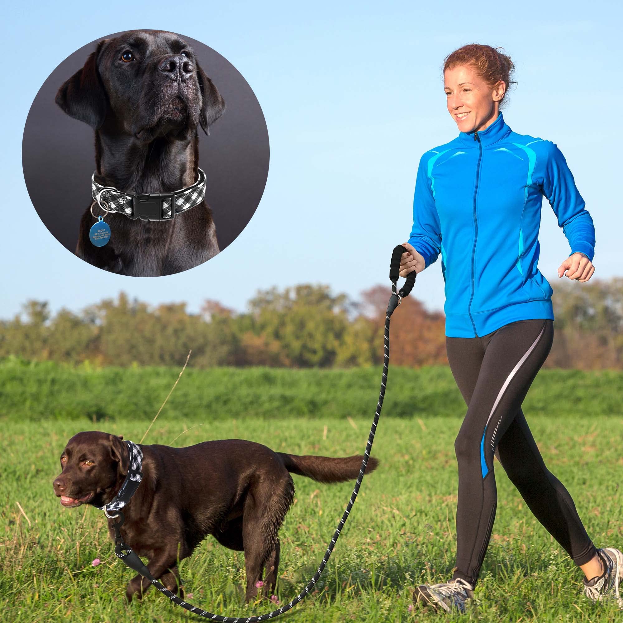 Reflective Dog Collar Padded with Soft Neoprene Breathable Adjustable Nylon Dog Collars for Small Medium Large Dogs (Medium (Pack of 1), Vivid Blue Collar+Leash)