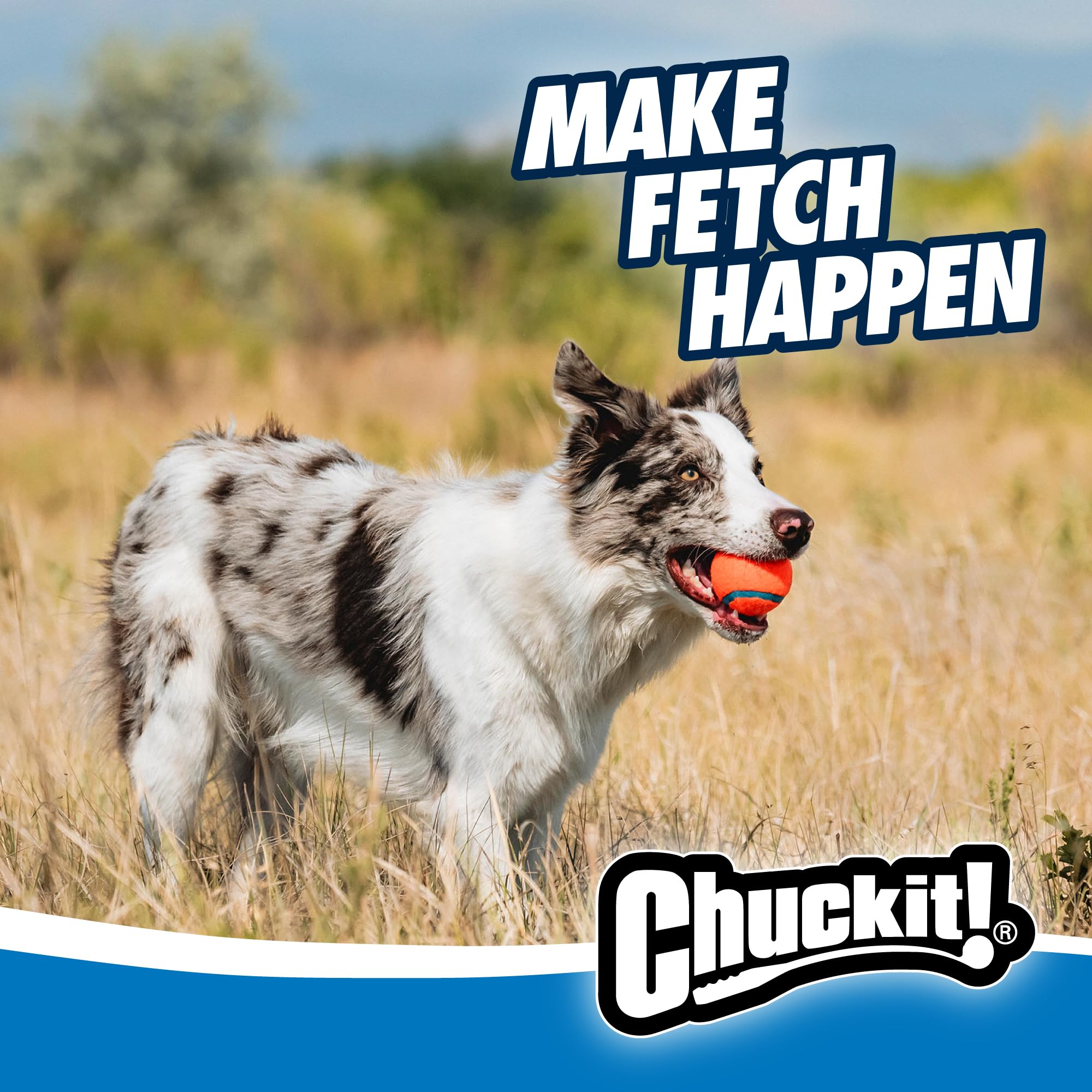 Chuckit! Dog Ball Launcher - Sport 12" with Medium (2.5"), Dog Fetch Ball Thrower, For Dogs 20-60 Pounds, Made in USA