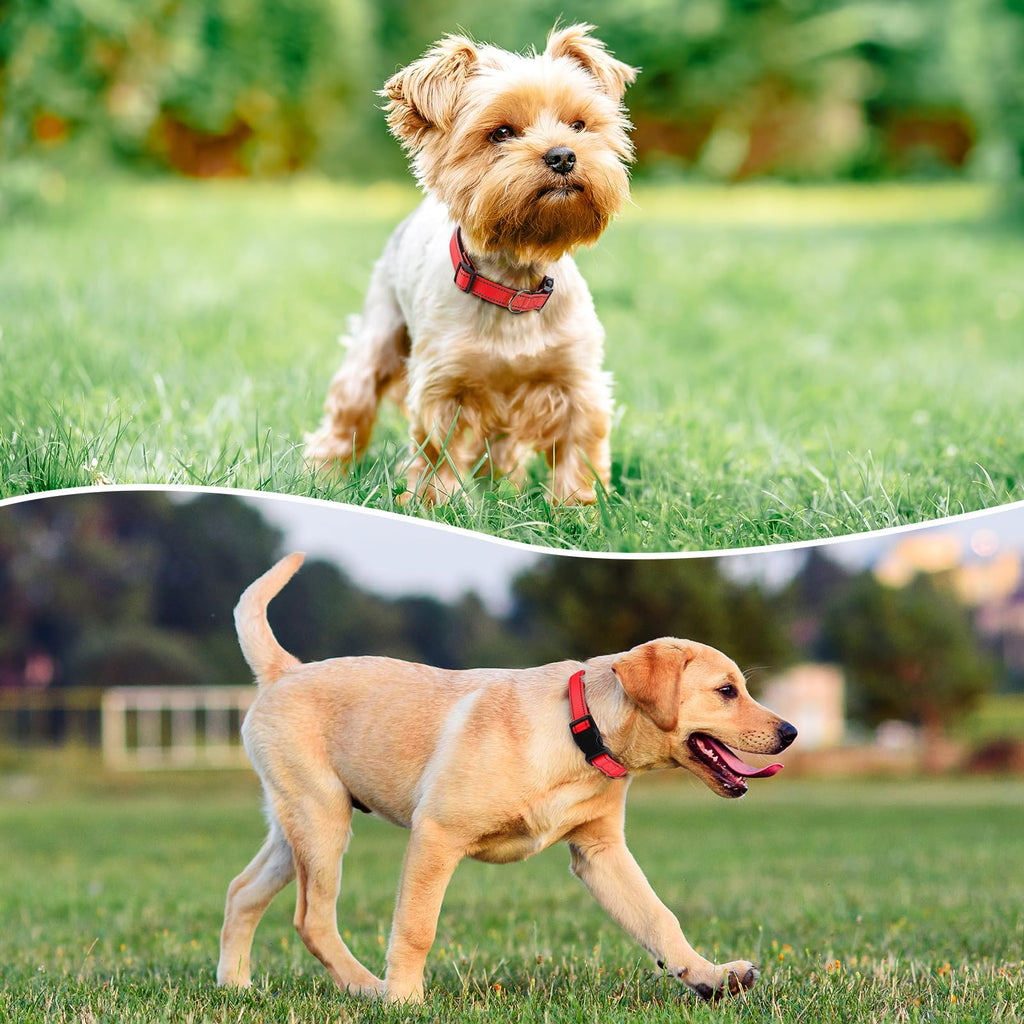 Reflective Dog Collar Padded with Soft Neoprene Breathable Quick Release Basic Dog Collars