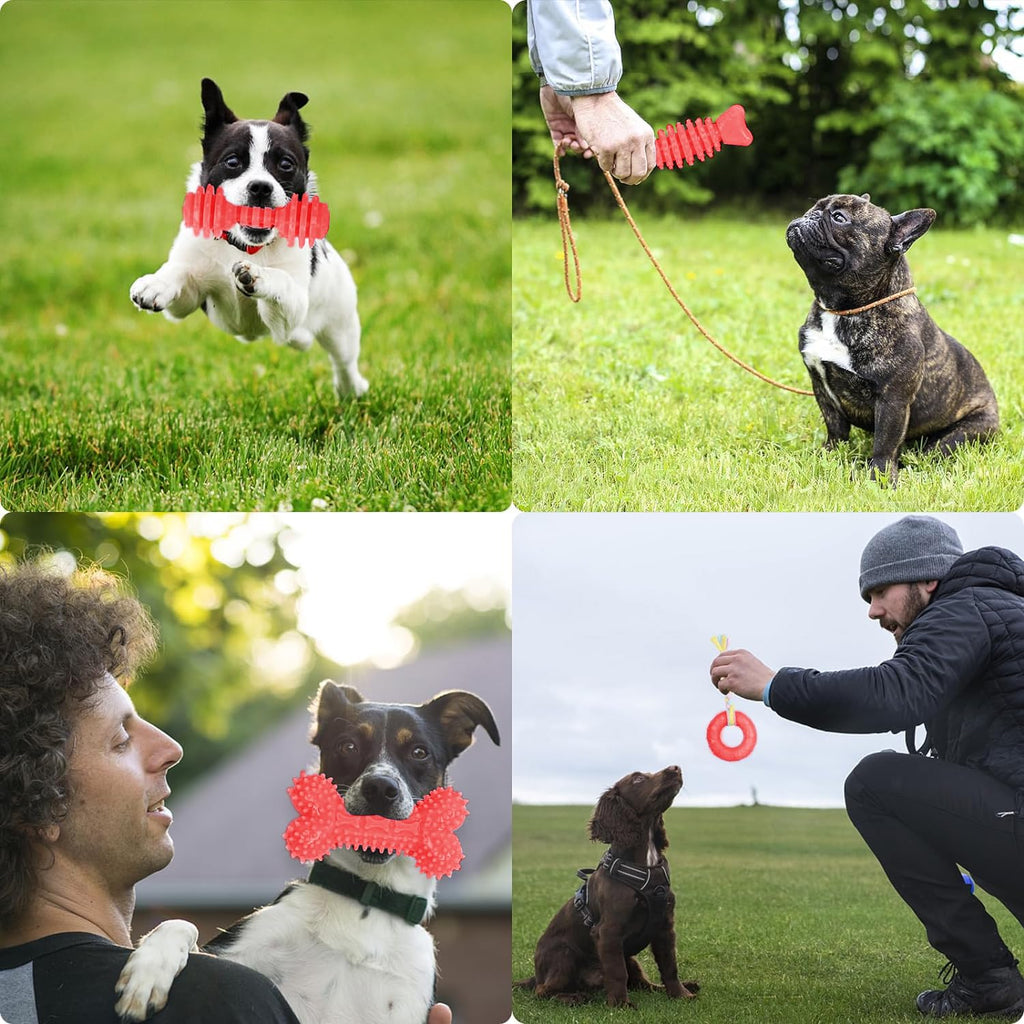 6 Pack Red Dog Chew Toys, Small Dog Teething Toys, Dental Health & Interactive Play