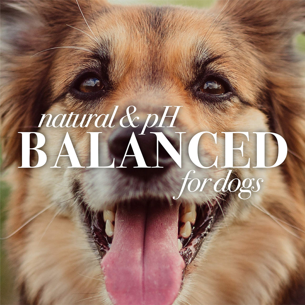 Burt's Bees for Pets Oatmeal Shampoo for Dogs with Colloidal Oat Flour and Honey - Skin Soothing Dog Oatmeal Shampoo, Moisturizing Dog Wash for Itchy Dry Skin, Essential Grooming Supplies, 16 Fl Oz