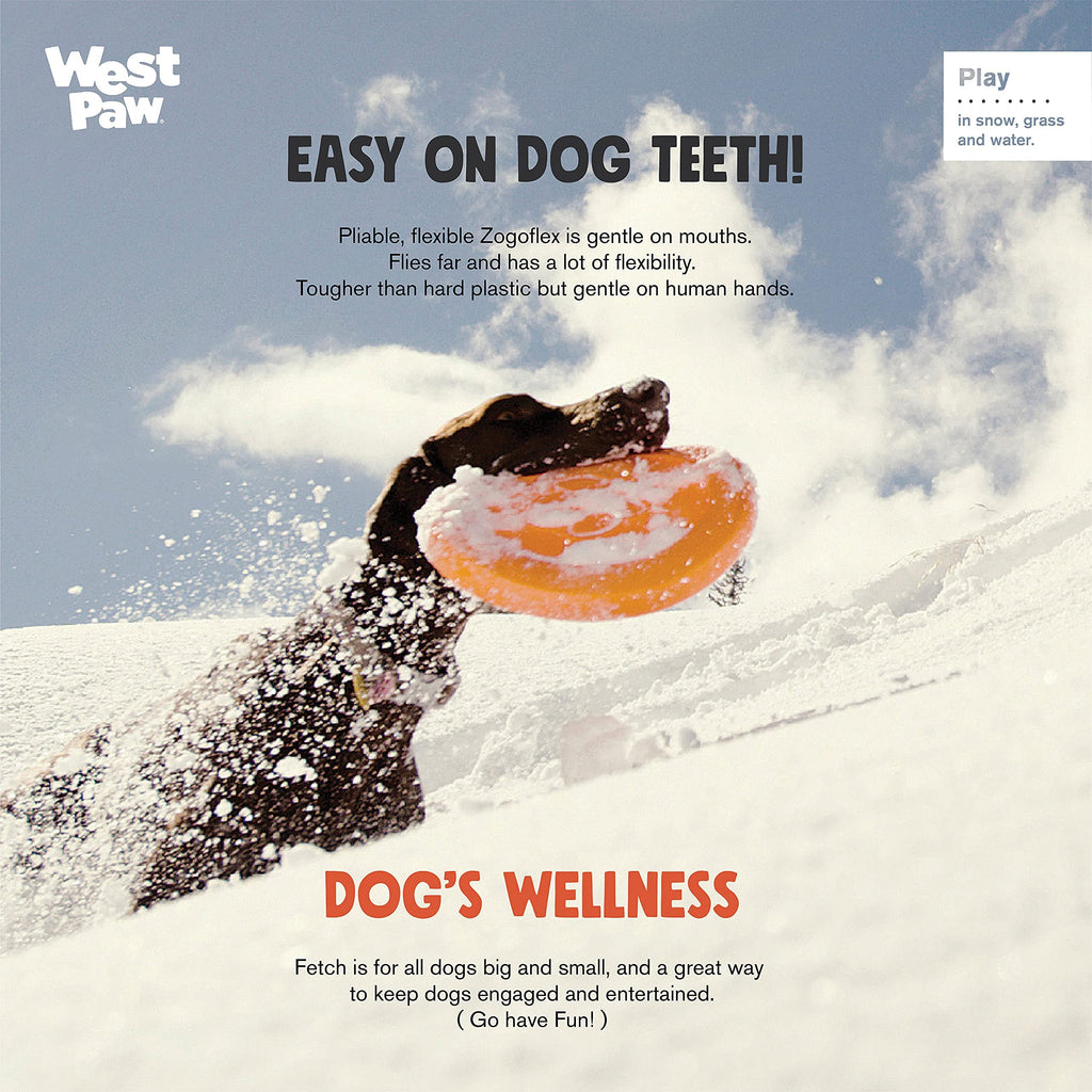West Paw Zogoflex Zisc Durable Dog Frisbee Nearly Indestructible Flying Disc Dog Toy, 100% Guaranteed Tough, It Floats!, Made in USA, 6.5-Inch Small, Tangerine
