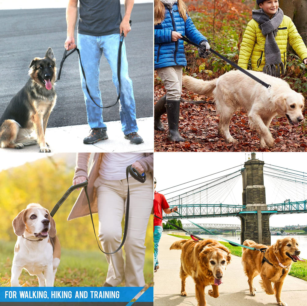 Heavy Duty Dog Leash - 2 Handles by Padded Traffic Handle for Extra Control, 6foot Long - Perfect for Medium to Large Dogs